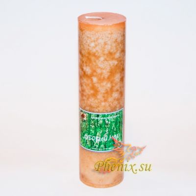 Ароматическая свеча "Дубовый мох" Купить в интернет-магазине СПб