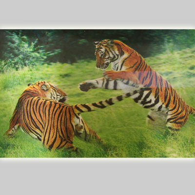 Картина голографическая Тигры 40*60см A293-5JI-A8062 ― Сандаловый Дом СПб - Интернет-магазин