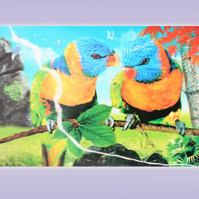 Картина голографическая два синих попугая 25*35см A294-5JI-A1075 ― Сандаловый Дом СПб - Интернет-магазин