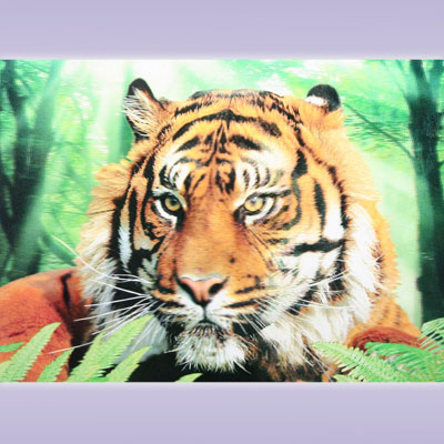 Картина голографическая Тигр 25*35см A294-6JI-A1061 ― Сандаловый Дом СПб - Интернет-магазин