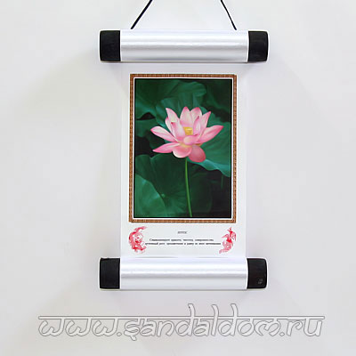 Свиток малый ЛОТОС 10x24см