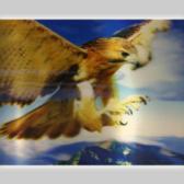 Картина голографическая Орел 30*40см A292-1JI-A1001