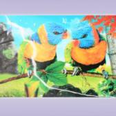 Картина голографическая два синих попугая 25*35см A294-5JI-A1075