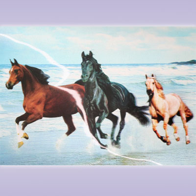 Картина голографическая Кони 25*35см A294-7JI-A1129 ― Сандаловый Дом СПб - Интернет-магазин
