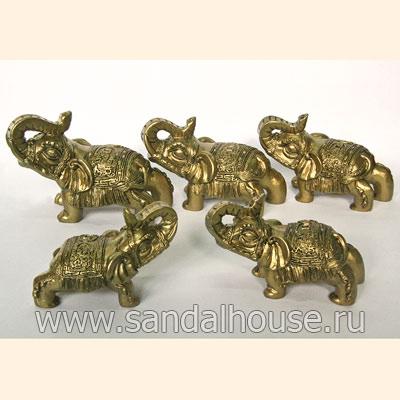 Набор пять слоновF245C  h~6cm/набор ~20*22cm 