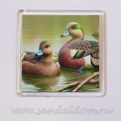 Магнит Фен-Шуй квадрат NEM-08 УТОЧКИ-МАНДАРИНКИ