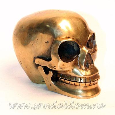 Череп TR22Y бронза h~10cm L~13cm