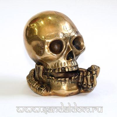 Череп TR25Y с трубкой h=14см бронза
