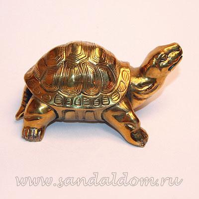 ЧерепахаTS56  L~11cm h~6cm бронза