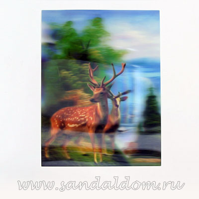 Картина Стерео 3D   ОЛЕНЬ 37*27см