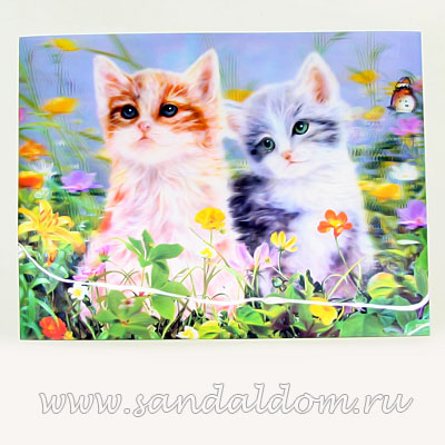 Картина Стерео 3D   ДВА КОТЕНКА 37*27см