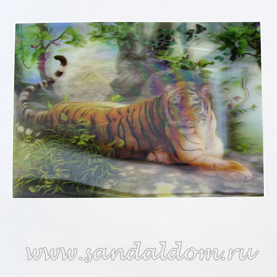 Картина Стерео 3D   ТИГР ЛЕЖИТ 37*27см