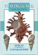 Игральные карты Раковины (Карты игральные), Издательство Аввалон-Lo Scarabeo | 978-888395494-8, Купить