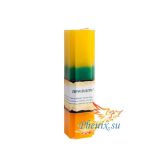 Свеча тройного действия "Выбора пути"